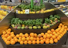 Pots of basil tucked in amongst a display of oranges, mangoes and lemons.