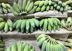 Small Thai bananas on display.
