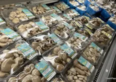 Mushrooms as far as the eye can see.